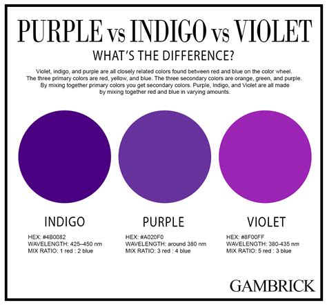 violet and purple|violet color and purple.